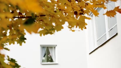 Bild på en vit husfasad med fönster, medan trädgrenar och löv sticker ut alldeles framför kameran.