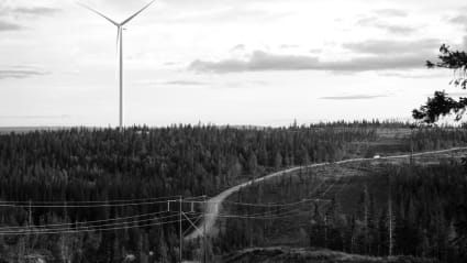 Svartvit bild på ett skogsparti där ett vindkraftverk tornar sig till vänster, med en mindre väg och elkraftledningar åt höger.