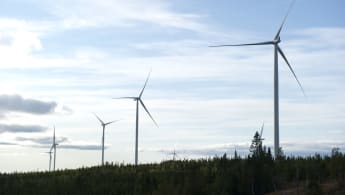 Fem vindkraftverk sticker ur skog och upp i skyn.