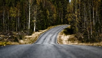 En smal väg guppar och svänger åt vänster bland tät barrskog.