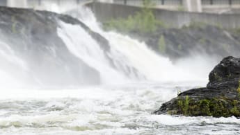 Vatten forsar från en mindre klippa ner i en ström.