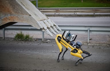 Photo of NiCCi - Spot, the robot dog from Boston Dynamics.