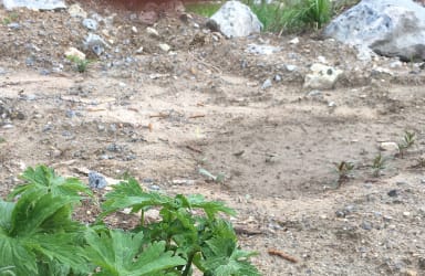 Joensuun Kitsarin kiviainesalueen sisäänkäynnin viereen tehtiin Pikkuketo keväällä 2019.