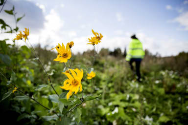 Ensimmäinen NCC Kielo -alue toteutettiin jo vuonna 2012 Suomessa ja Mäntsälän Ohkolan kiviainesalueella.