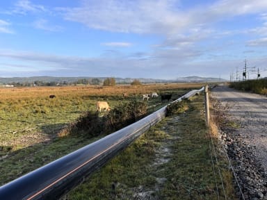 Bilden visar ett naturlandskap med platt mark, blå himmel, några kossor syns betande. Dominerande i bilden är det jättelånga svarta rör som sträcker sig genom hela bilden bort i horisonten.