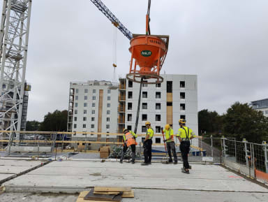 Haso A ontelosaumavalu