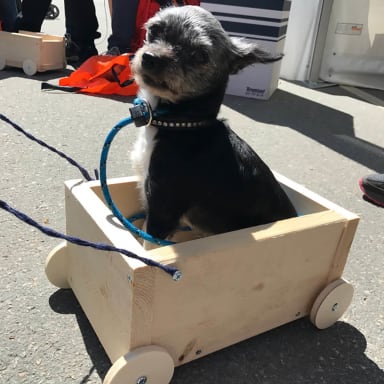 Promenadlåda till vovven.