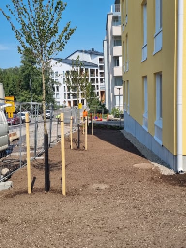 Hitas Siilikujan puolelta