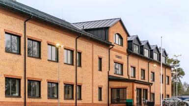 Bild på gul äng med kontorsbyggnad i bakgrunden omgivet av gröna träd.