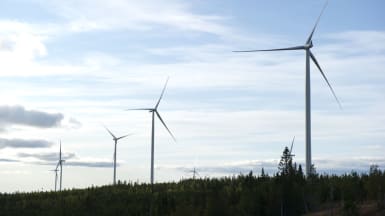 Fem vindkraftverk sticker ur skog och upp i skyn.