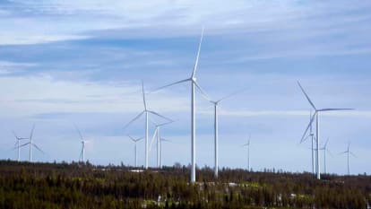 Flera vindkraftverk sticker upp ur ett snöbeklätt skogslandskap.
