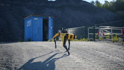 Photo displaying NiCCi - Spot, the robot dog from Boston Dynamics.