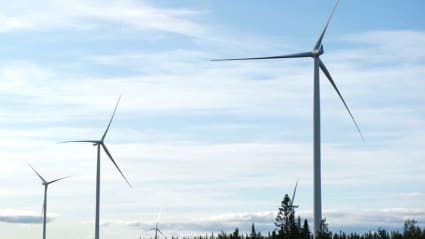 Wind turbines among a forest skyline.
