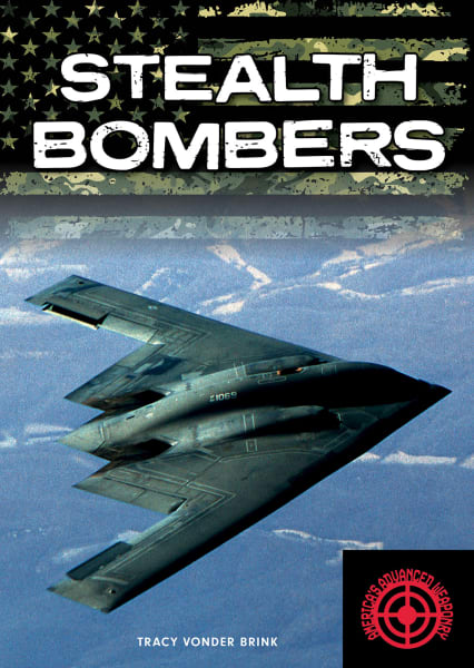 Cover of Stealth Bombers