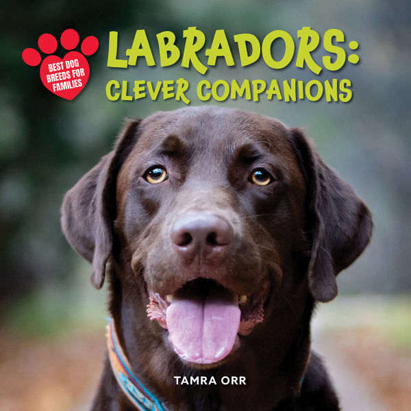 Cover of Labrador Retrievers: Clever Companions