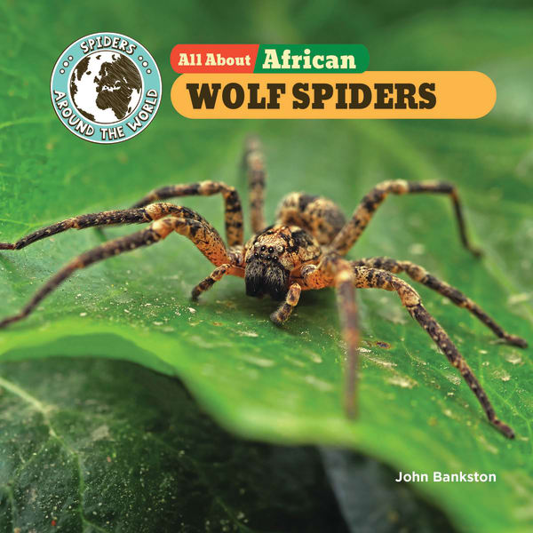 Cover of All About African Wolf Spiders