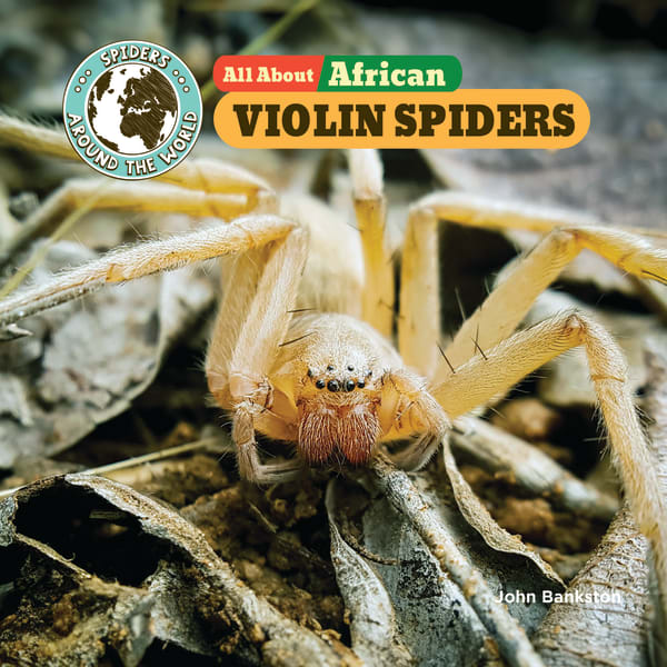 Cover of All About African Violin Spiders