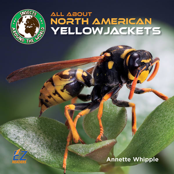 Cover of All About North American Yellowjackets