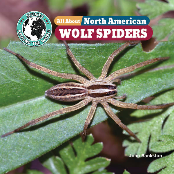 Cover of All About North American Wolf Spiders