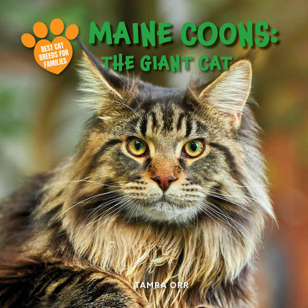 Cover of Maine Coons: The Giant Cat