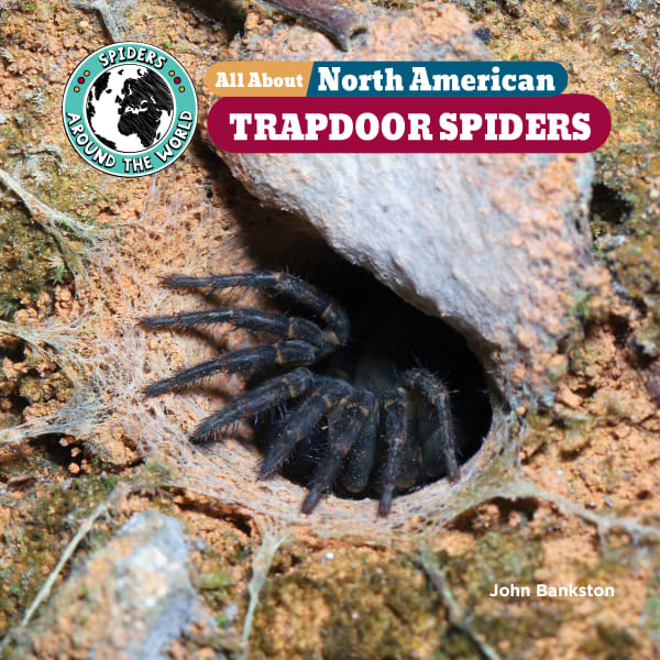 Cover of All About North American Trapdoor Spiders