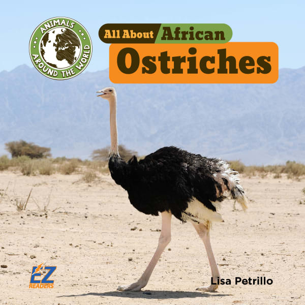 Cover of All About African Ostriches