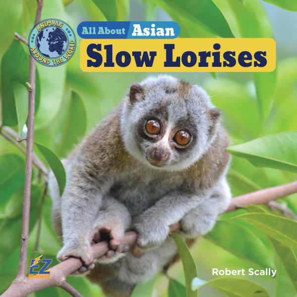 Cover of All About Asian Slow Lorises