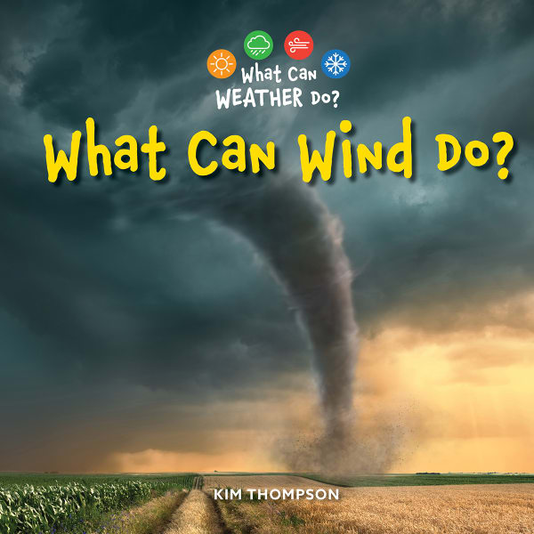 Cover of What Can Wind Do?