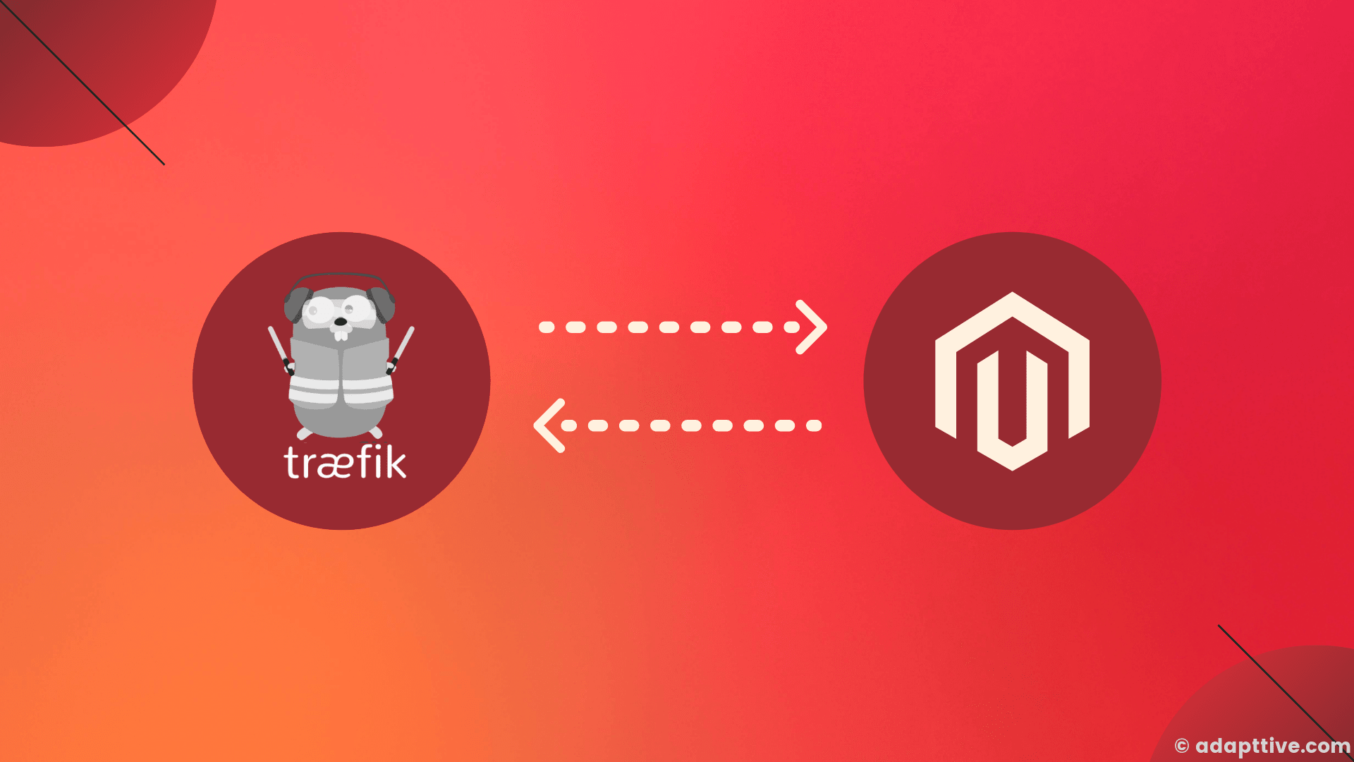 Traefik 101: Magento 2