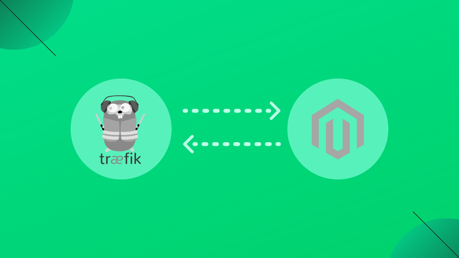 Traefik 101: Deploying Magento 2 with Traefik using File Configuration Provider