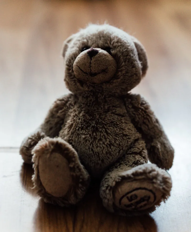 Teddy Bear 40cm