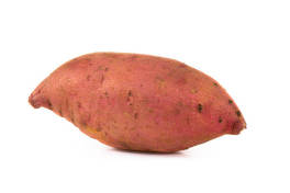 Sweet Potato Single