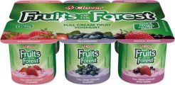 Clover Fruits of the Forest Assorted Full Cream Yoghurt 6X100g