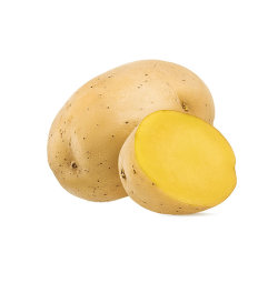 Potato Medium Single
