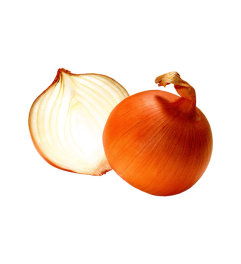 Onion Medium Single