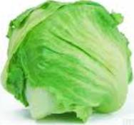 Lettuce Iceberg Prepack Each