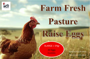 Farm Fresh Free Range Eggs - 30 XL