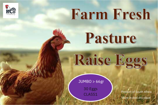 Farm Fresh Free Range Eggs - 30 Jumbo