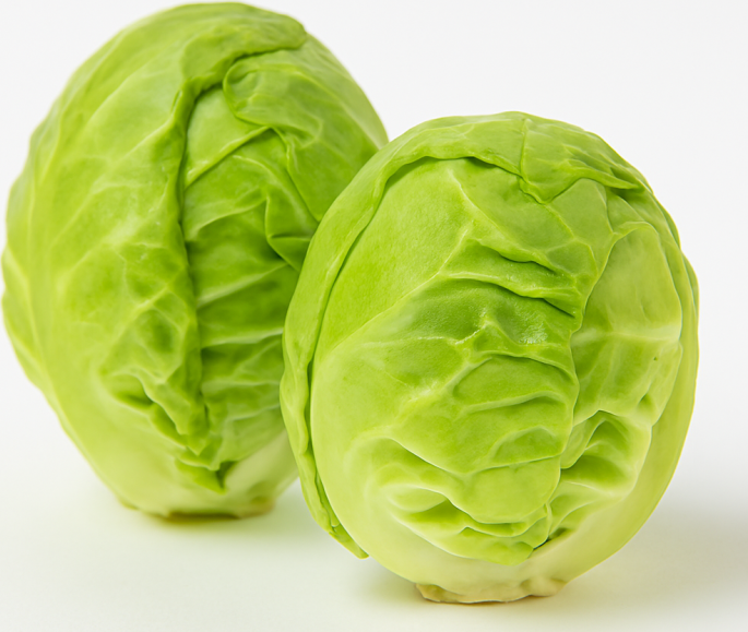 Baby Cabbage x 2