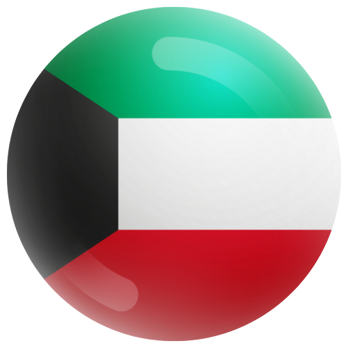 UAE Flag