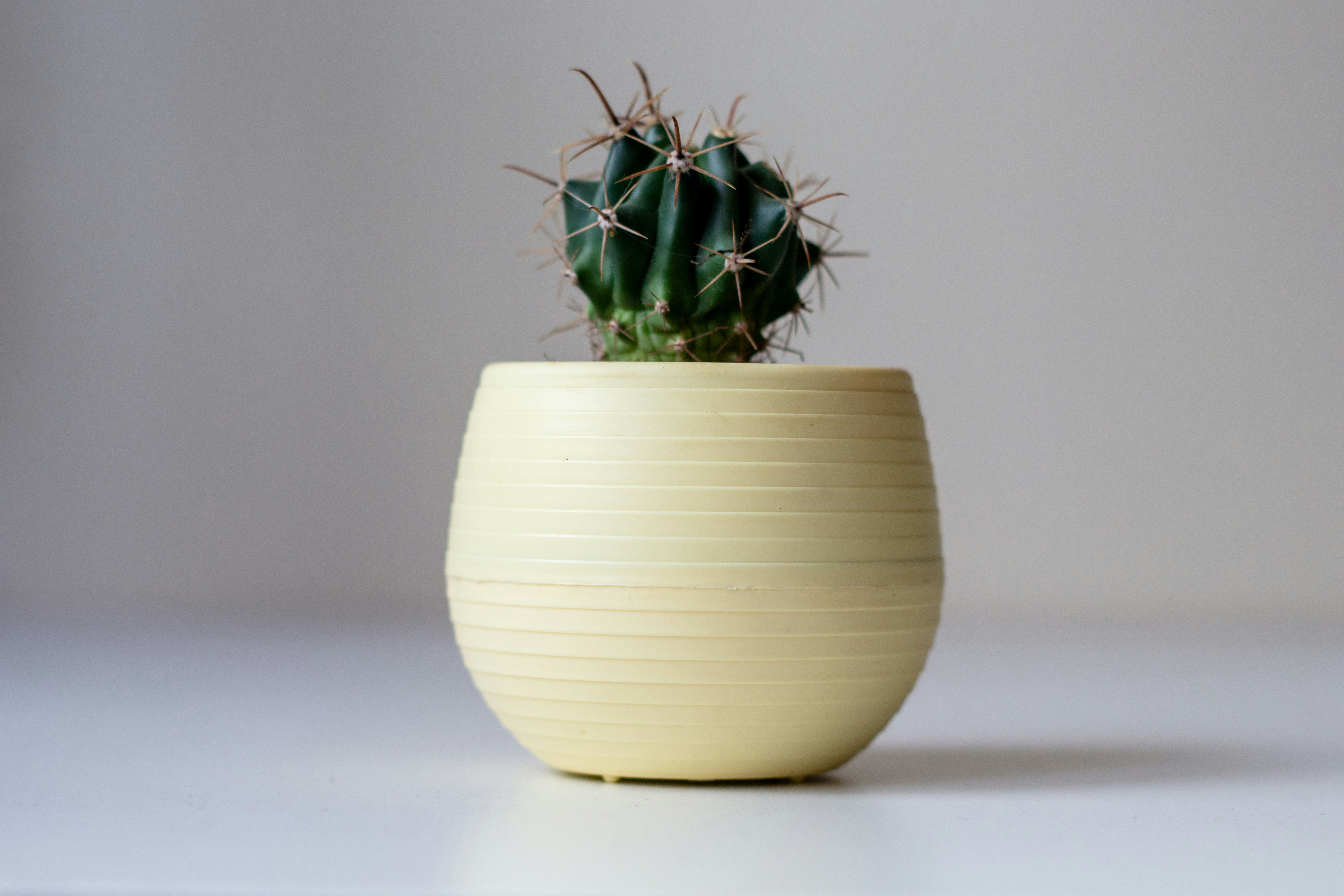 Ceramic pots collection