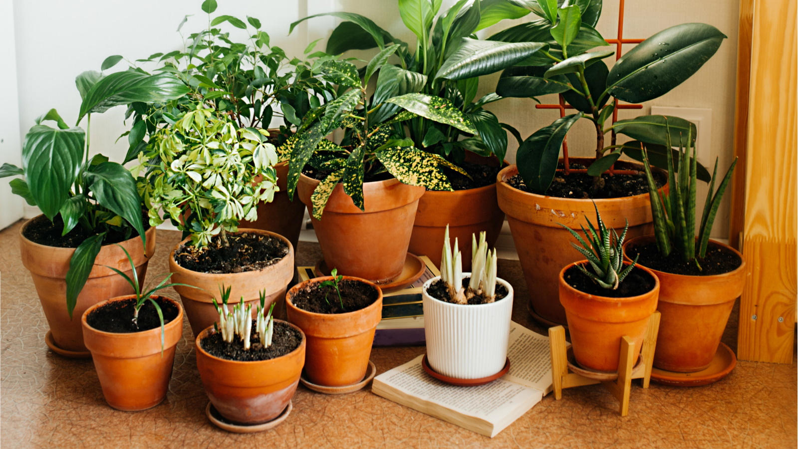 Urban Planters modern ceramic planters Dubai landscaping