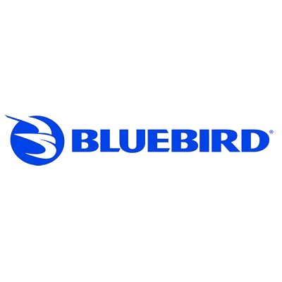 Bluebird image