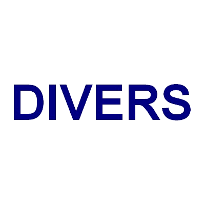 Divers image