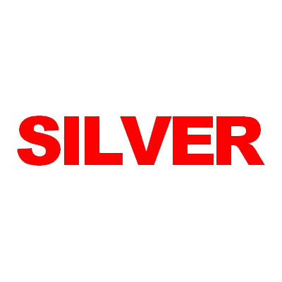 Silver Logo