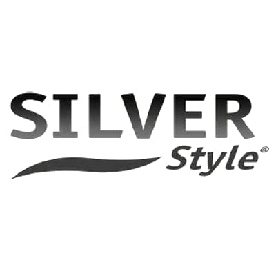 Silver style image