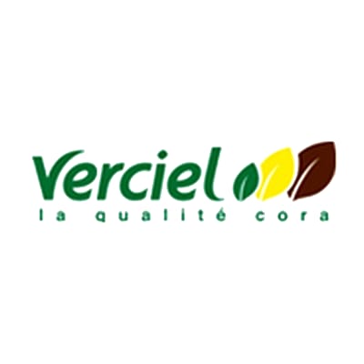 Verciel Logo