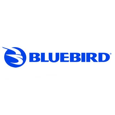 Bluebird image