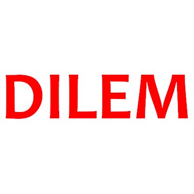 Dilem image