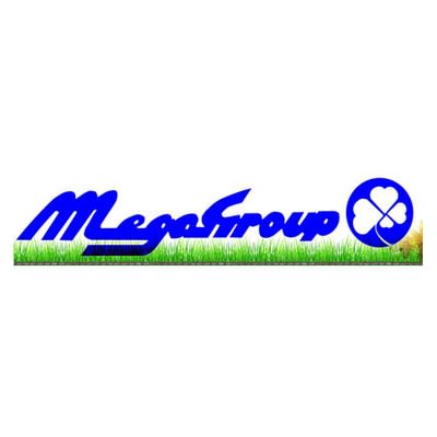 Megagroup image